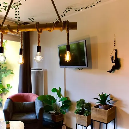 Jungle - La Apartament